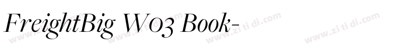 FreightBig W03 Book字体转换